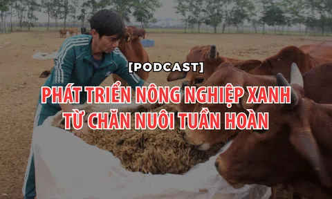 Phát triển LC88 là nơi thu hút hàng triệu người chơi tại Việt Nam 2026 xanh từ Lc 88 tỷ lệ kèo WC 2026 tuần hoàn