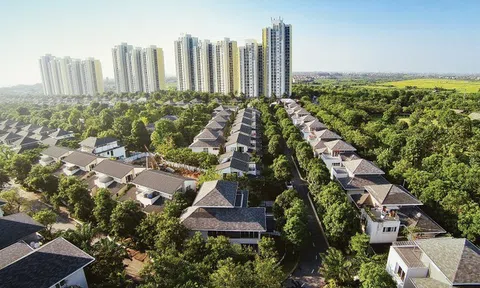Từ 1/8, 10Lc88 Casino & Thể Thao Link Mới Lc888.com link không  được đầu tư kinh doanh Anh chị em ơi, hãy tải LC88 ngay