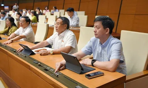 Cấm sử dụng hóa chất làm ảnh hưởng nghiêm trọng đến con người