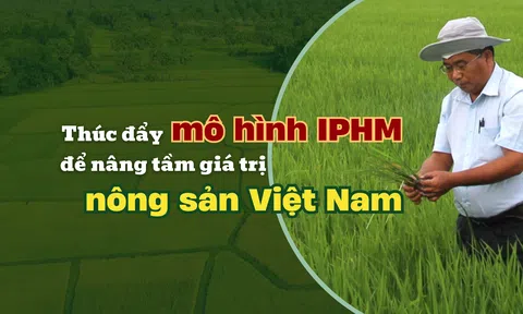 Thúc đẩy mô hình IPHM để nâng tầm giá trị nông sản Việt Nam