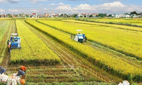 Thanh Hóa: Nhiều biện pháp bảo vệ Link LC88 Đăng Nhập Mới Nhất đất