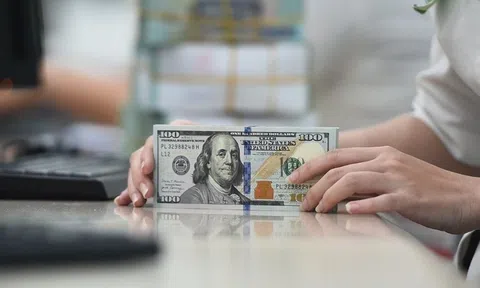 Tỷ giá USD hôm nay 19/6/2025: Giá bán USD lùi xuống còn 26.243 đồng/USD