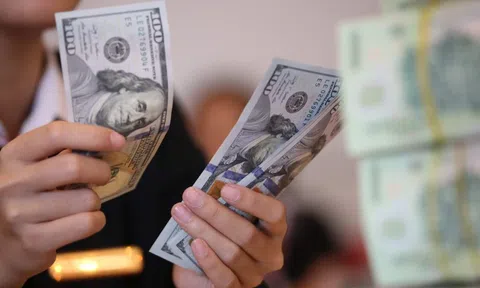 Tỷ giá USD hôm nay 21/6/2025: Giá bán USD tăng lên mức 26.282 đồng/USD