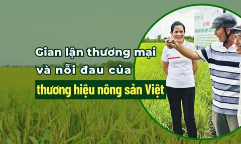 Gian lận thương mại và nỗi đau thương hiệu nông sản Việt - Bài 2: Củng cố thương hiệu từ việc bảo hộ quyền sở hữu trí tuệ