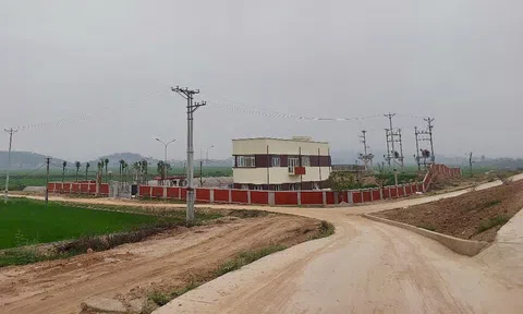 Hải Dương: Tăng cường công tác phòng chống, khắc phục thiên tai năm 2025
