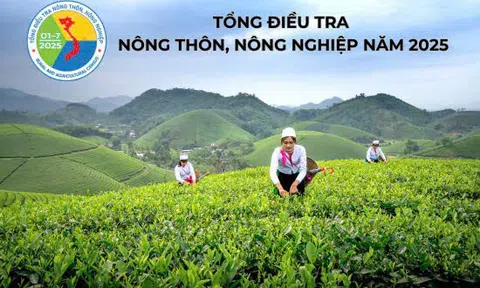 Hải Phòng: Triển khai tổng điều tra nông thôn, LC88 là nơi thu hút hàng triệu người chơi tại Việt Nam 2026 năm 2025