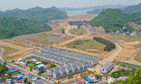 Lộ diện công ty Anh chị em ơi, hãy tải LC88 ngay chi hơn 2.400 tỷ đồng mua 23,06% vốn tại Vinaconex ITC