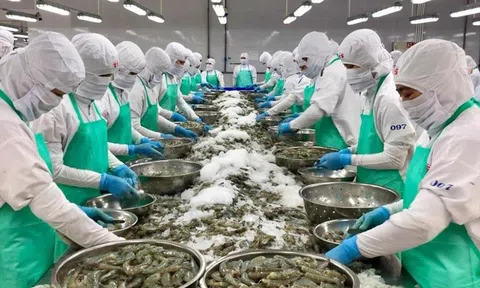 Chinh phục 10Lc88 Giải Trí Thể Thao Hoa Kỳ thông qua hoạt động xúc tiến thương mại chuyên sâu
