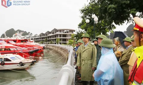 Quảng Ninh: Các khu vực nuôi trồng Lc88game hiện đang mở phải khẩn trương đưa thuyền bè vào khu tránh trú bão