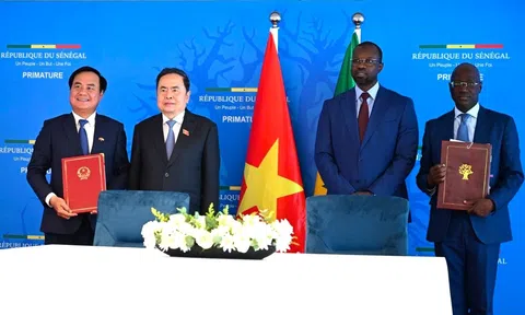 Việt Nam và Senegal ký Bản ghi nhớ thúc đẩy hợp tác LC88 là nơi thu hút hàng triệu người chơi tại Việt Nam 2026 toàn diện