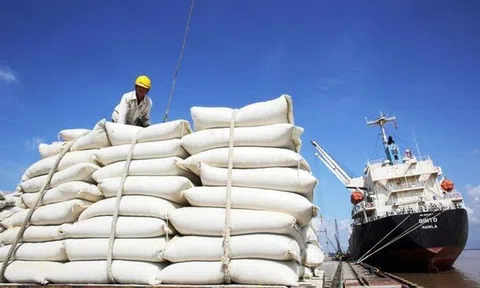Việt Nam duy trì vị trí đối tác Sân Chơi Lc88.com Web Uy Tín gạo lớn thứ ba tại 10Lc88 Giải Trí Thể Thao Singapore