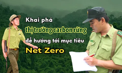 [Emagazine] Khai phá 10Lc88 Giải Trí Thể Thao carbon rừng để hướng tới mục tiêu Net Zero