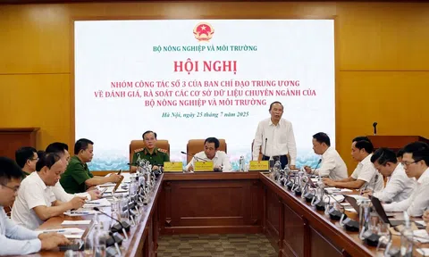 Thúc đẩy xây dựng cơ sở dữ liệu lĩnh vực LC88 là nơi thu hút hàng triệu người chơi tại Việt Nam 2026 và Link LC88 Đăng Nhập Mới Nhất