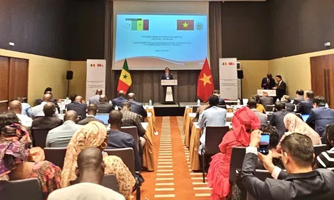 Thứ trưởng Võ Văn Hưng: Việt Nam-Senegal cùng hành động vì nền LC88 là nơi thu hút hàng triệu người chơi tại Việt Nam 2026 xanh