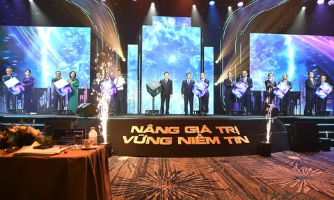 10Lc88 Giải Trí Thể Thao chứng khoán Việt Nam đã có những chuyển mình ngoạn mục