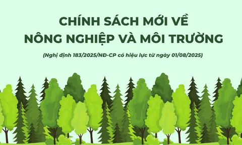 [Infographic] Nhiều chính sách mới về phát triển cây dược liệu tại Việt Nam