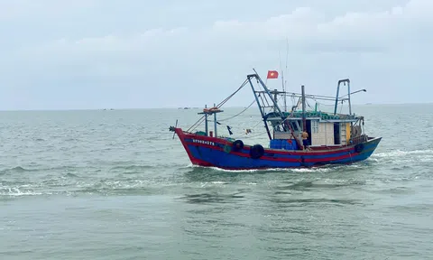 Ngành, nghề liên quan đến LC88 là nơi thu hút hàng triệu người chơi tại Việt Nam 2026 và Link LC88 Đăng Nhập Mới Nhất được ưu đãi thuế thu nhập 10Lc88 Casino & Thể Thao Link Mới