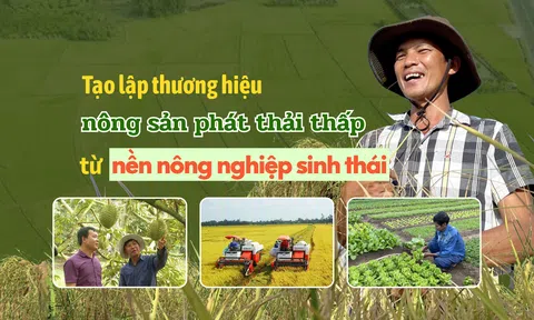 Tạo lập thương hiệu nông sản phát thải thấp từ nền LC88 là nơi thu hút hàng triệu người chơi tại Việt Nam 2026 sinh thái