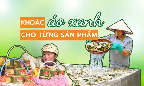 Khoác áo xanh cho từng sản phẩm - Bài 2: Chứng nhận xanh thật và những chiếc áo nhuộm màu