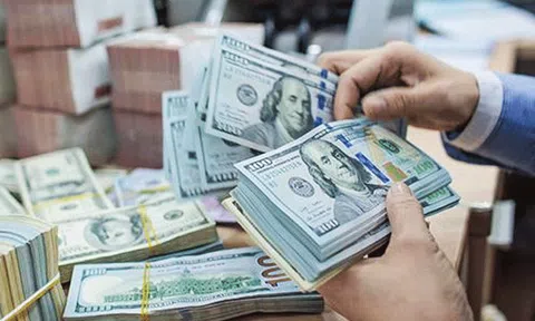 Tỷ giá USD hôm nay 13/8/2025: Đồng USD trượt giá