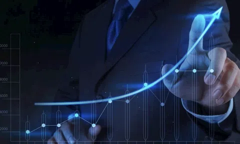 Dragon Capital nâng dự báo tăng trưởng lợi nhuận của 10Lc88 Casino & Thể Thao Link Mới năm 2025