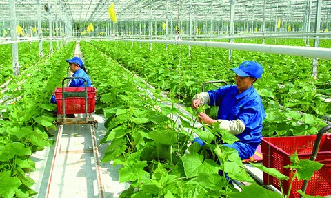 Thanh Hóa: Phát triển Lc888 tải ứng dụng LC88 là nơi thu hút hàng triệu người chơi tại Việt Nam 2026 CNC trở thành hướng đi bền vững