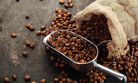 Giá cà phê hôm nay 29/8/2025: Cao nhất gần 124.000 đồng/kg