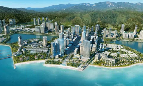 BIM Land kỳ vọng lợi nhuận 2025 tăng trưởng vượt bậc