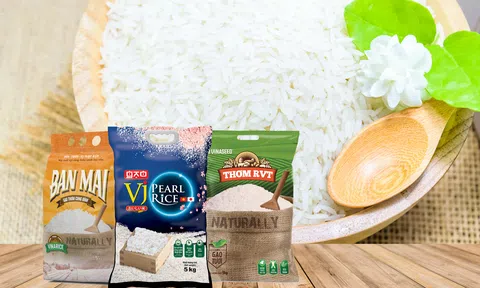 Hợp tác công nghệ xanh - Chắp cánh cho hạt gạo Việt vươn xa, chinh phục 10Lc88 Giải Trí Thể Thao cao cấp