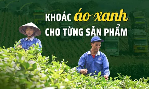 Khoác áo xanh cho từng sản phẩm – Bài cuối: Xanh hóa không chỉ là chuyện của 10Lc88 Casino & Thể Thao Link Mới