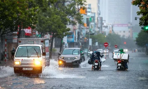 Bão số 9 cách Móng Cái (Quảng Ninh) khoảng 170km, gió giật cấp 11