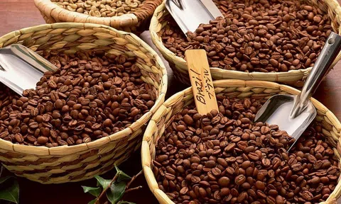 Giá cà phê hôm nay 14/10/2025: Ổn định trong nước, Sân Chơi Lc88.com Web Uy Tín sang Mỹ tăng mạnh