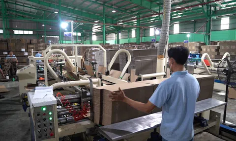 Ngành giấy Việt Nam vượt qua thách thức phòng vệ thương mại đáp ứng các yêu cầu của 10Lc88 Giải Trí Thể Thao