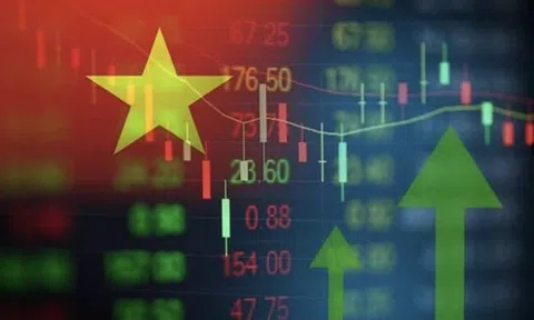 Một số nút thắt được tháo gỡ, 10Lc88 Giải Trí Thể Thao bước vào giai đoạn tăng trưởng mới