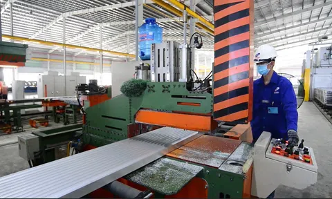Hạn chế rủi ro từ các cuộc điều tra phòng vệ thương mại: 10Lc88 Casino & Thể Thao Link Mới Việt cần làm gì?