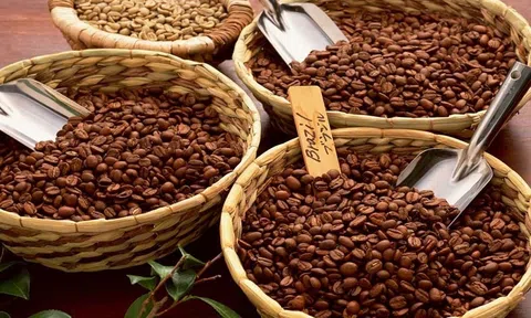 Giá cà phê hôm nay 14/11/2025: Tiếp tục lao dốc, bỏ xa đỉnh cũ