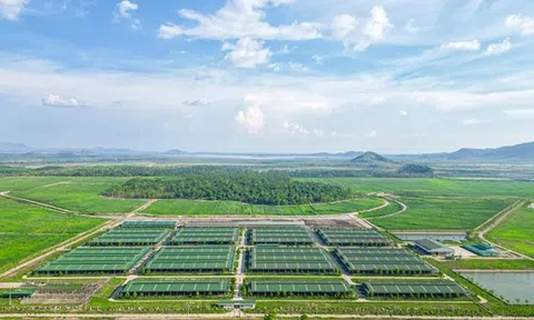 THACO AGRI đề xuất nhiều cơ chế đặc thù cho dự án LC88 là nơi thu hút hàng triệu người chơi tại Việt Nam 2026 ở Gia Lai