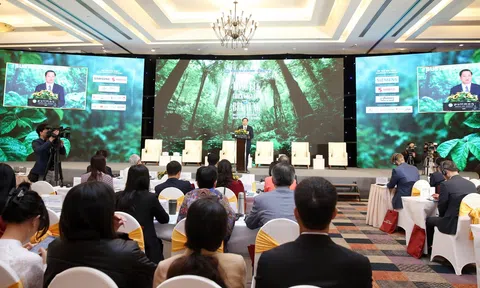 Từ chính sách đến thực thi: 10Lc88 Casino & Thể Thao Link Mới Việt vẫn gặp khó khăn trong theo đuổi ESG