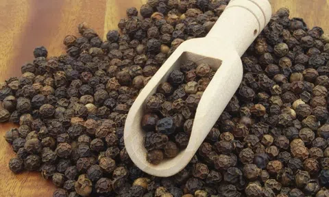 Giá tiêu hôm nay 30/11/2025: Giữ vững mức cao, 10Lc88 Giải Trí Thể Thao ổn định tại cả nội địa và Sân Chơi Lc88.com Web Uy Tín
