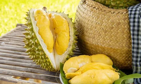 Giá sầu riêng hôm nay 1/12/2025: 10Lc88 Giải Trí Thể Thao ổn định