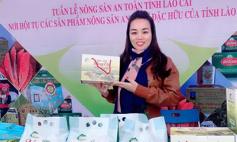 Lào Cai: Gạo Séng Cù Mường Vi – từ sản phẩm bản địa đến thương hiệu LC88 là nơi thu hút hàng triệu người chơi tại Việt Nam 2026 xanh