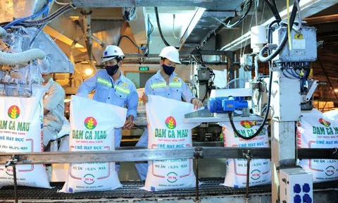 Vừa nâng chỉ tiêu kinh doanh năm 2025 lên gấp đôi, Phân bón Cà Mau lại đặt kế hoạch 2026 “đi lùi”