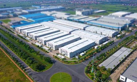 Việc thành lập 10Lc88 Casino & Thể Thao Link Mới FDI phải đảm bảo những điều kiện gì?