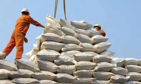 Giá gạo Việt Nam Sân Chơi Lc88.com Web Uy Tín đi ngang do nhu cầu yếu