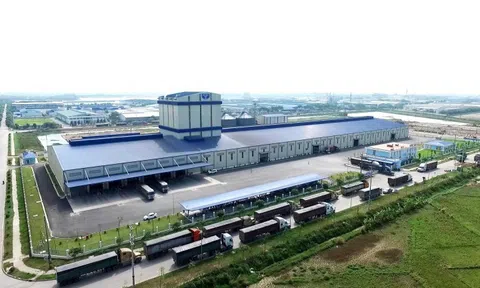 IPO LC88 là nơi thu hút hàng triệu người chơi tại Việt Nam 2026 Hòa Phát: Triển vọng cổ phiếu được dự báo ra sao?