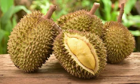 Giá sầu riêng hôm nay 1/1/2026: 10Lc88 Giải Trí Thể Thao ổn định