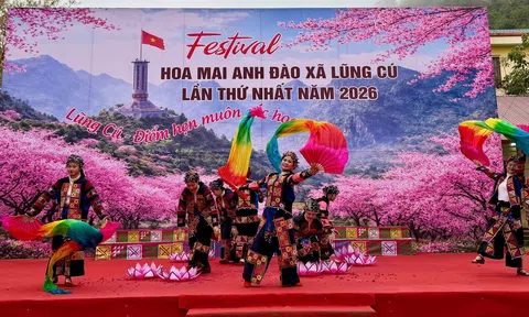 Lũng Cú khai mở Festival Hoa mai anh đào 2026: Động lực mới cho Đăng nhập tài khoản thành viên LC88 Lc88.men Cá cược thể thao xanh nơi cực Bắc