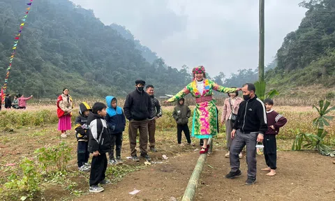 Hoa Tam giác mạch “đánh thức” Lc88.men Cá cược thể thao xanh Yên Cường