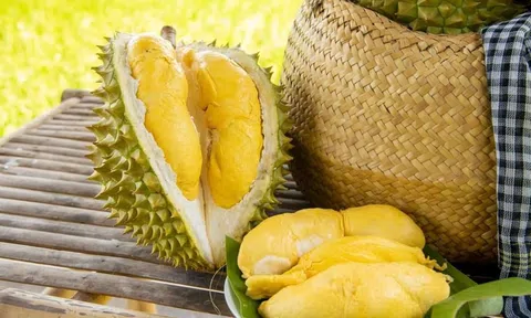 Giá sầu riêng hôm nay 17/1/2026: 10Lc88 Giải Trí Thể Thao ổn định