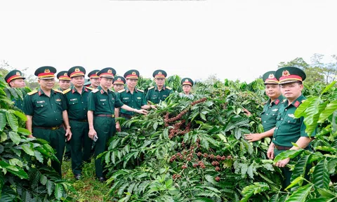 Binh đoàn 16 chú trọng an sinh Lc88 game Tham Gia Ngay gắn với phát triển LC88 là nơi thu hút hàng triệu người chơi tại Việt Nam 2026
